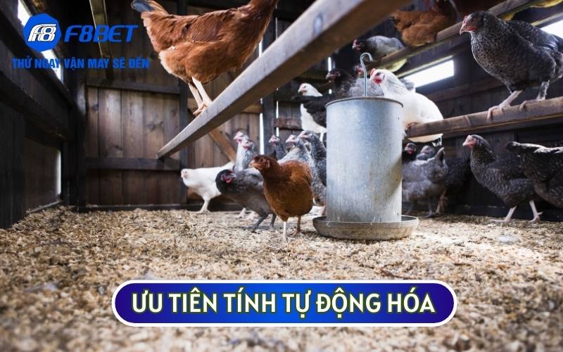 Sư kê nên ưu tiên phương pháp khép kín và máy móc tự động hiện đại